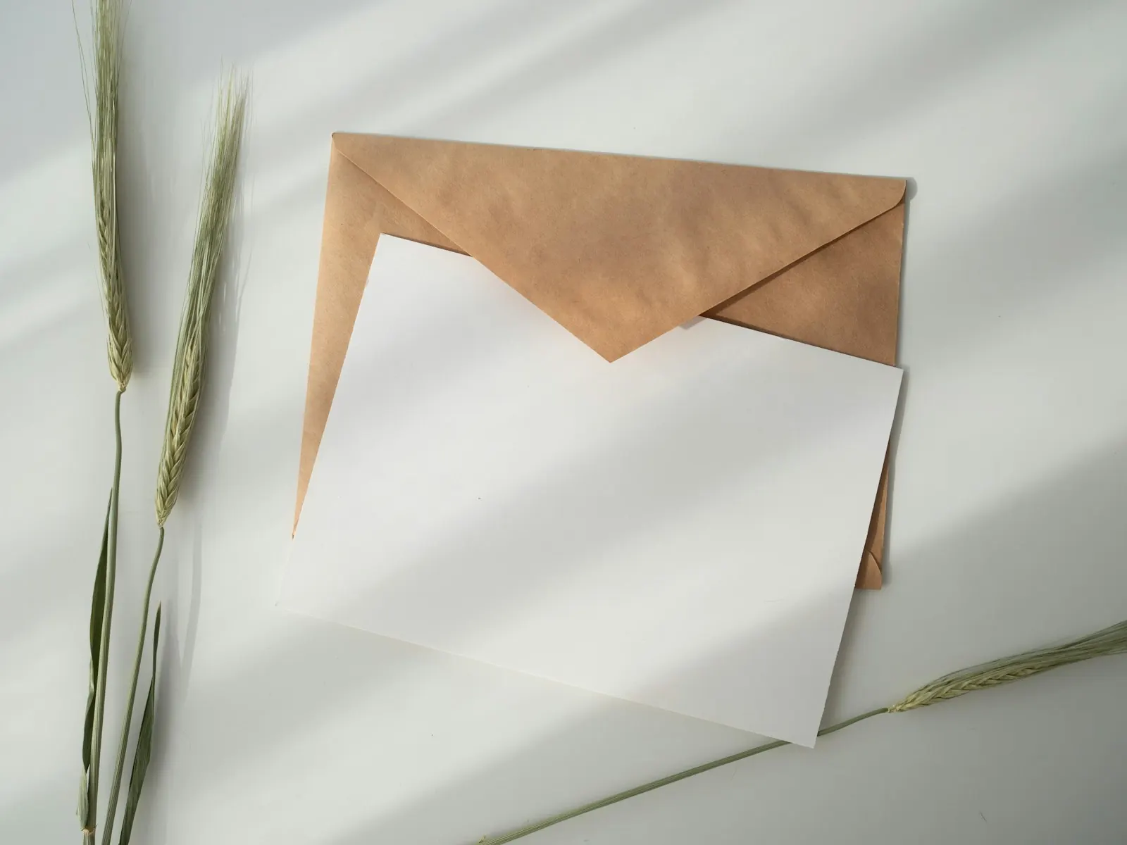 A blank page and a kraft envelope.